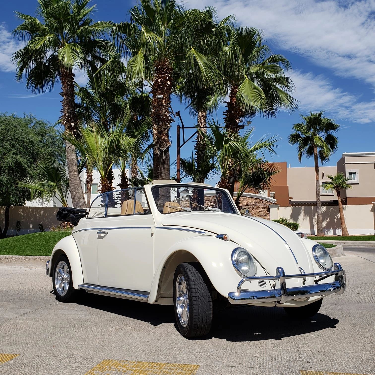 Volkswagen Beetle convertible blanco clásico